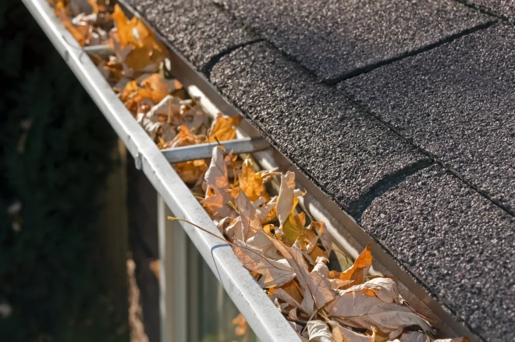 Leaves in Gutter
